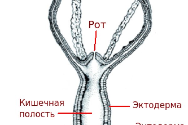 Как зарегаться на кракене